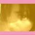 Avatar de Mhylla Mendes