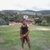 Avatar de Marcelo Ferreira