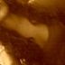 Avatar de bihsrt