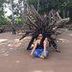 Avatar de Andreni Vianna Neves