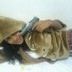 Avatar de josiane barbosa da silva