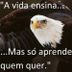 Avatar de Gilvan Otoni Martins
