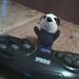 Avatar de Decka