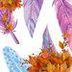 Avatar de Miranda Jmtz