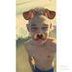 Avatar de Sergio Hacking