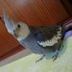 Avatar de Maria Eduarda