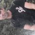 Avatar de adrianoropelato