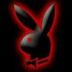 Avatar de Diego Cardoso