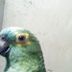 Avatar de suzane
