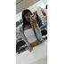 Avatar de Maysa Rocha
