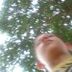 Avatar de Thiago Henrique Bueno
