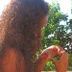Avatar de Andressa Santos Raposo