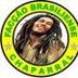 Avatar de RENATO CARVALHO RAMOS REIS
