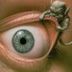 Avatar de andrew