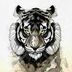 Avatar de thales augustto