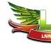 Livre Soul