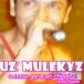 uz mulekyz