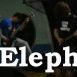 Elephante