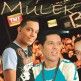 Grupo Mulek Brasil