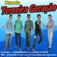 BANDA TERCEIRA GERAÇÃO