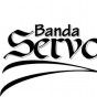 Banda Servos PE