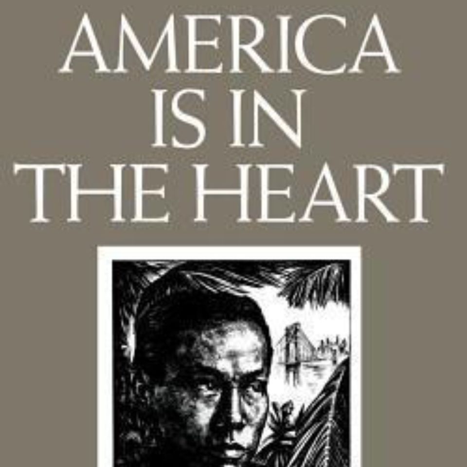 America Is In The Heart: A Summary of Resilience