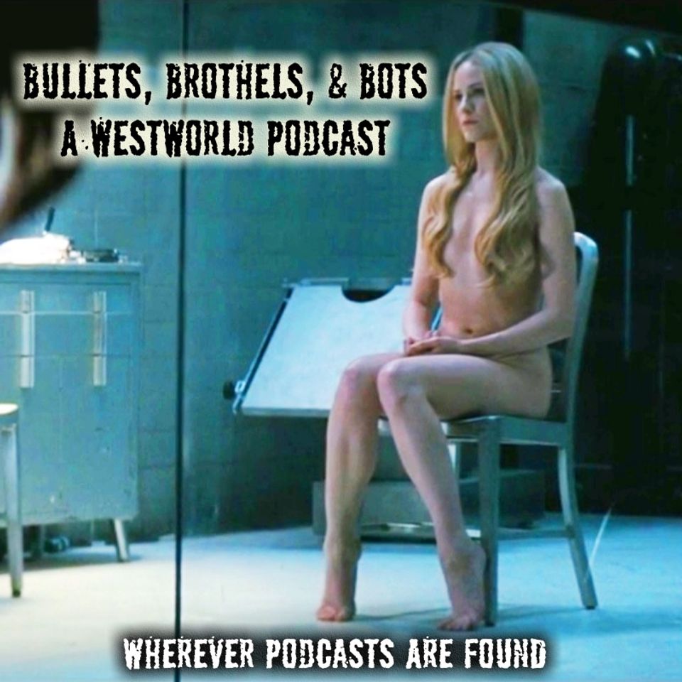 Episode – s3e08 – Crisis Theory