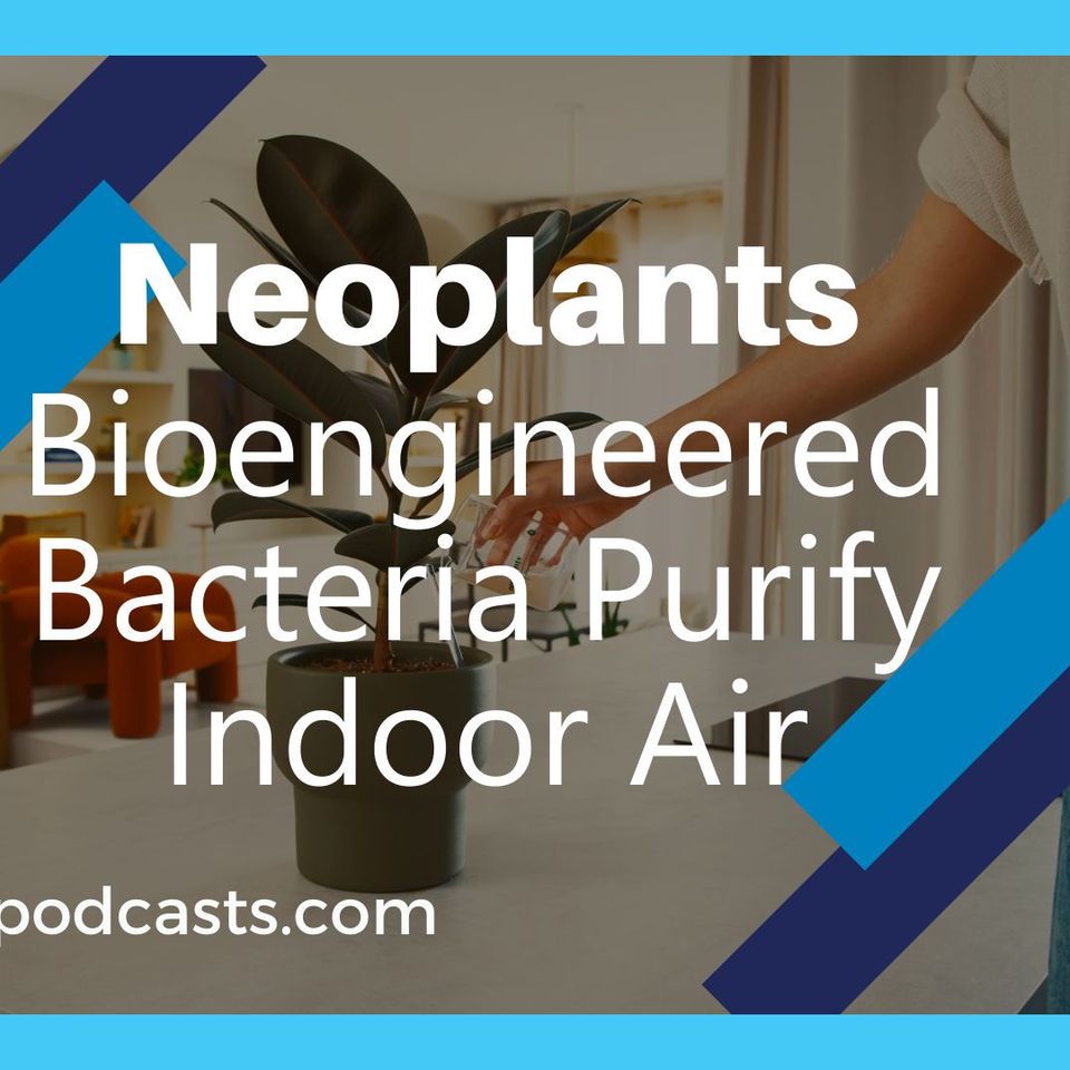 How Neoplants is Enhancing Nature Through Innovative Air Purification