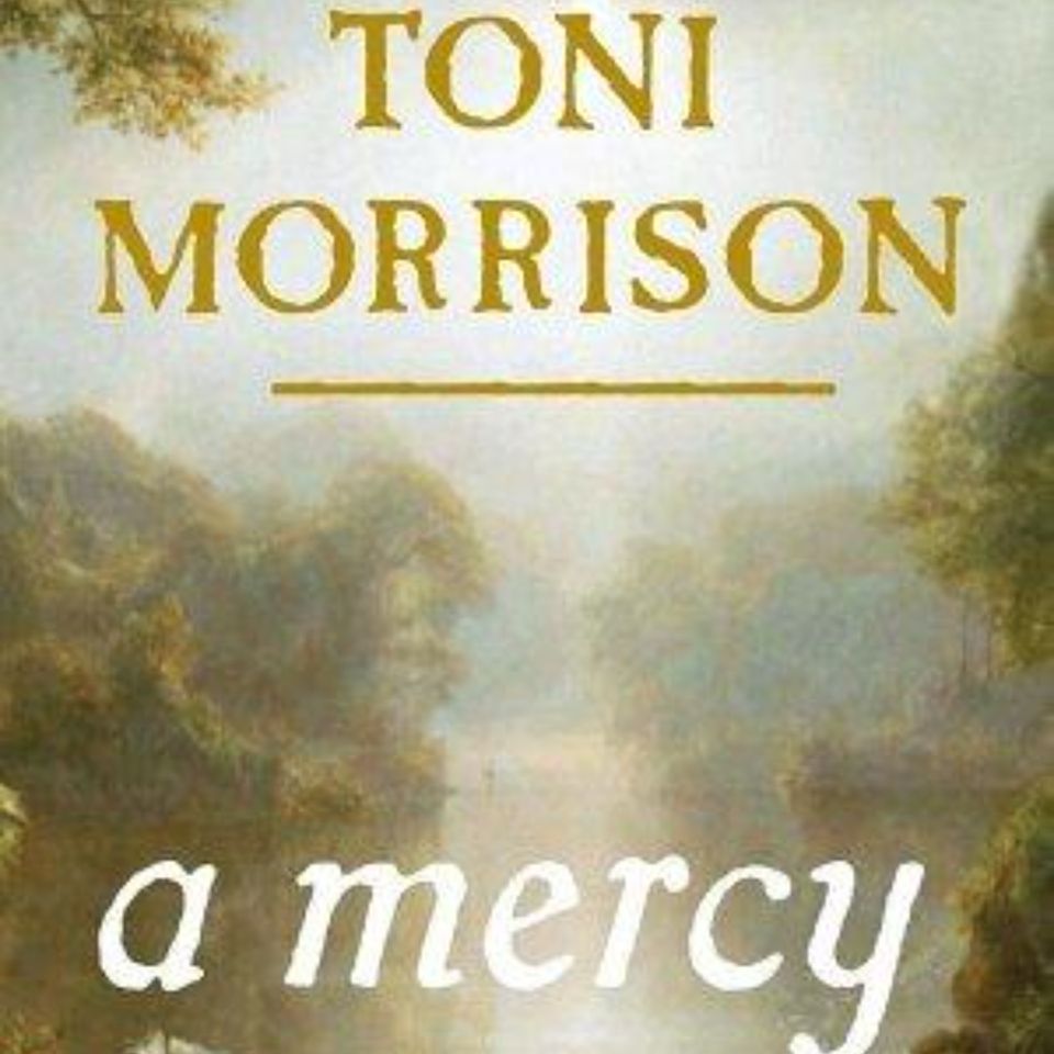 A Mercy: A Powerful Summary of Toni Morrison's Novel