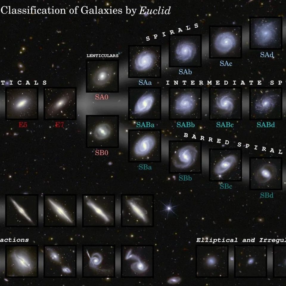 Obsesión por el Cielo - #1,146