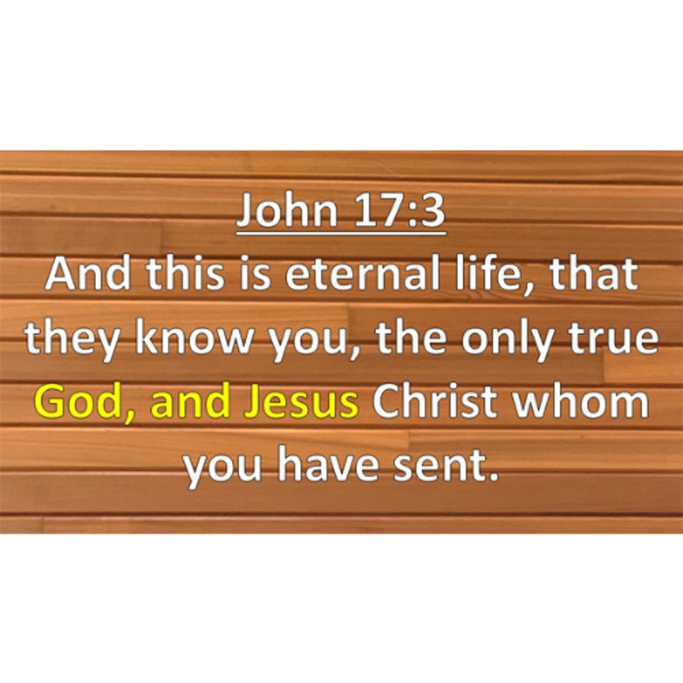 Message 05/17/2026 - God and Jesus - Text: John 17:1-11
