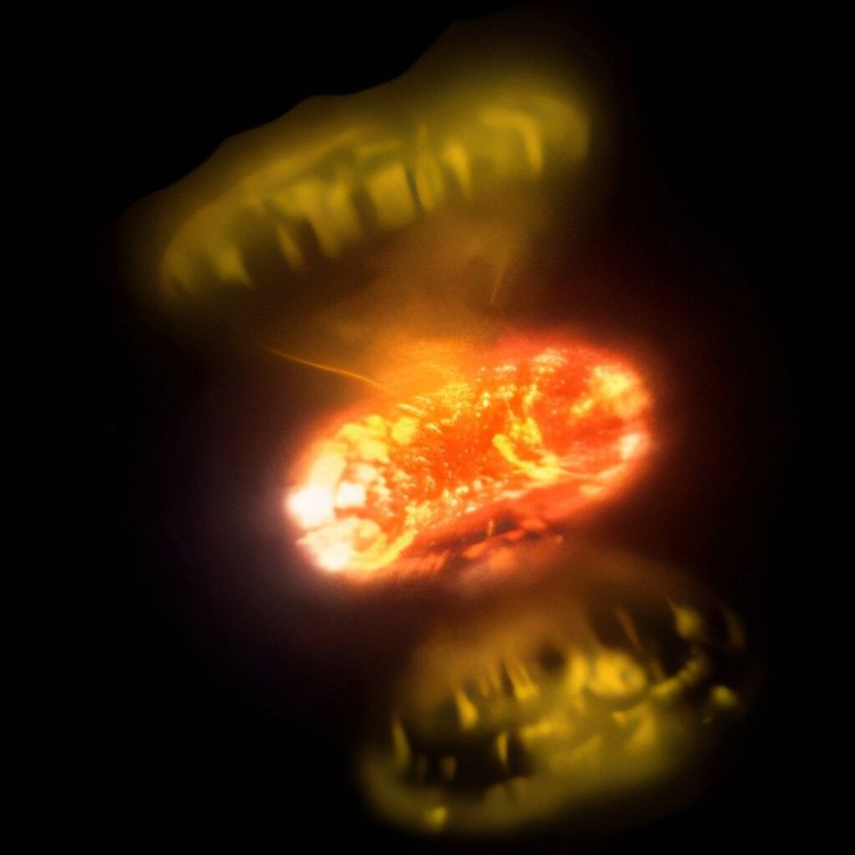 Obsesión por el Cielo - #1,150