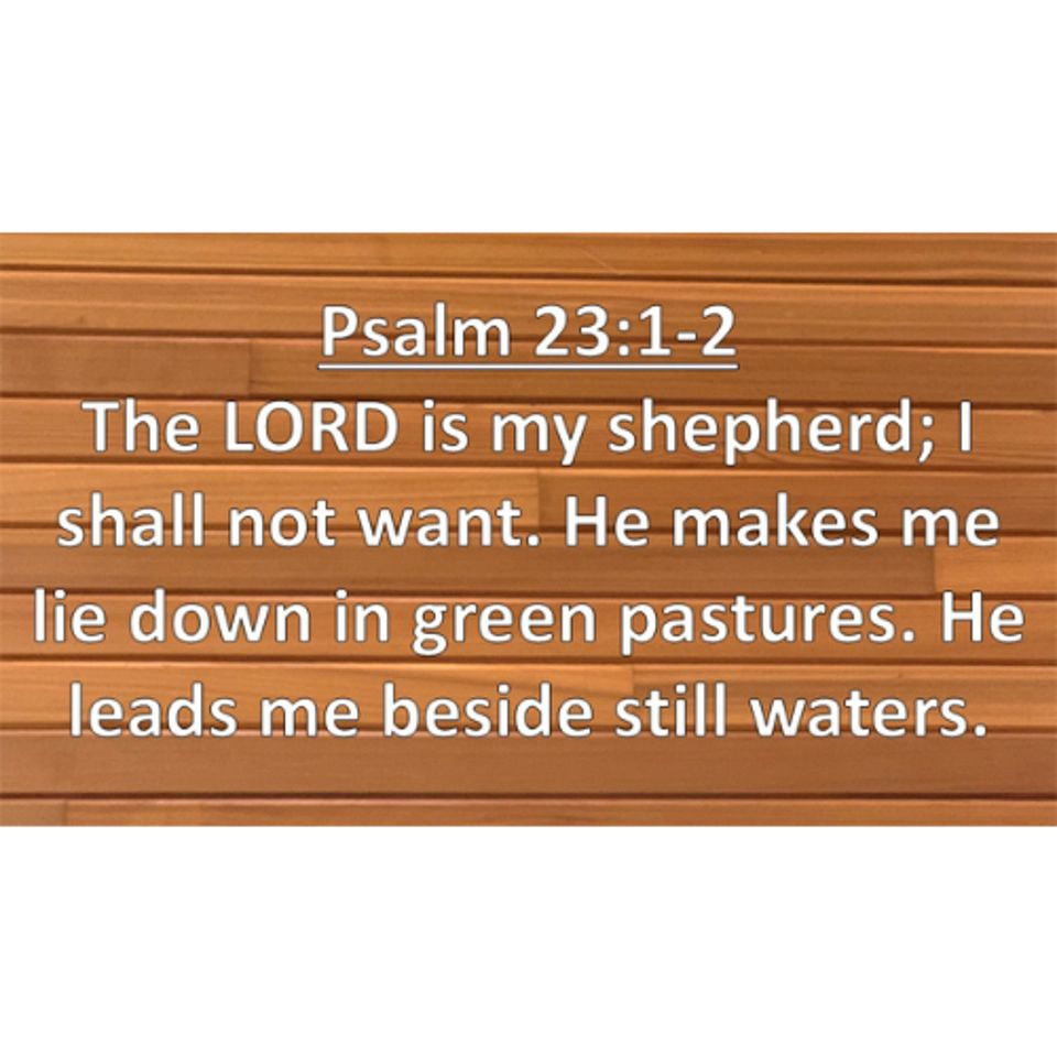 Message 04/26/2026 - The Voice of the Shepherd - Text: John 10:1-10