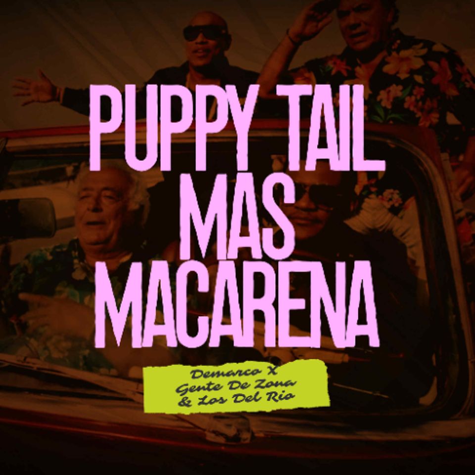 Puppy Tail Mas Macarena (Cristian Base Mash-Up)