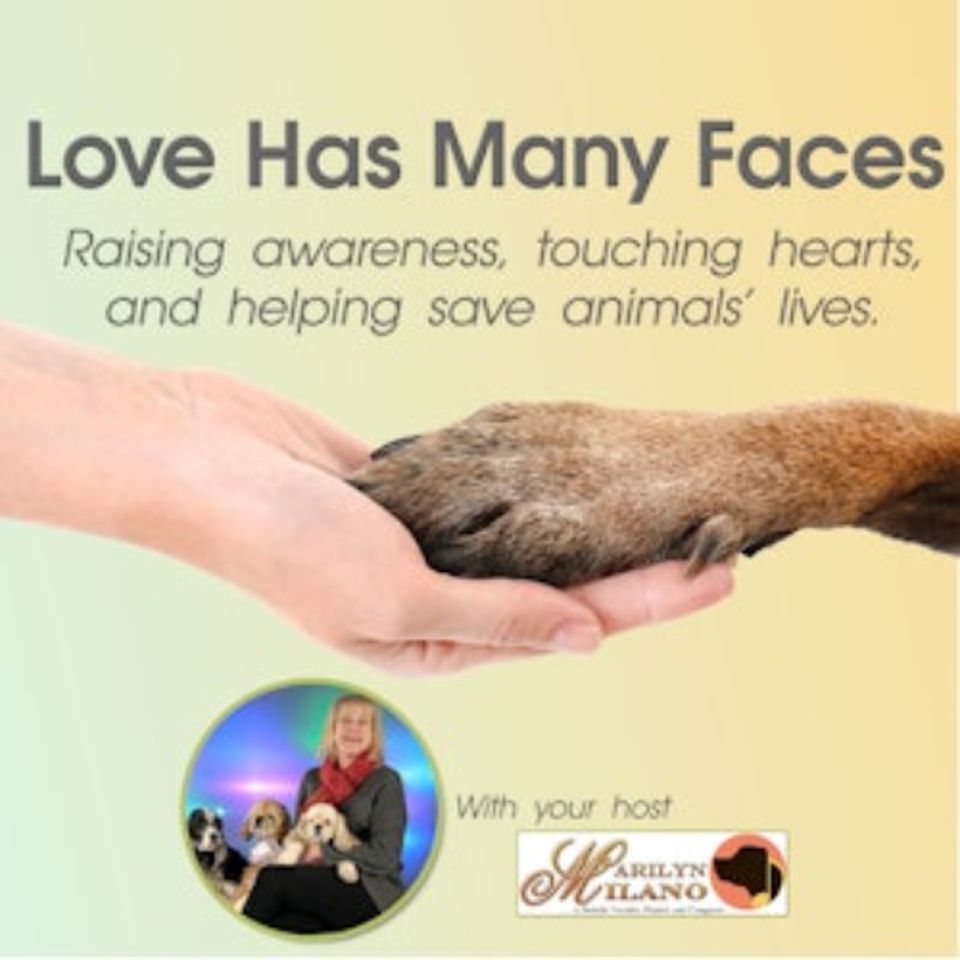 LHMF 07-01-25 A Conversation with Annette Lanker of Holy Cow Critters