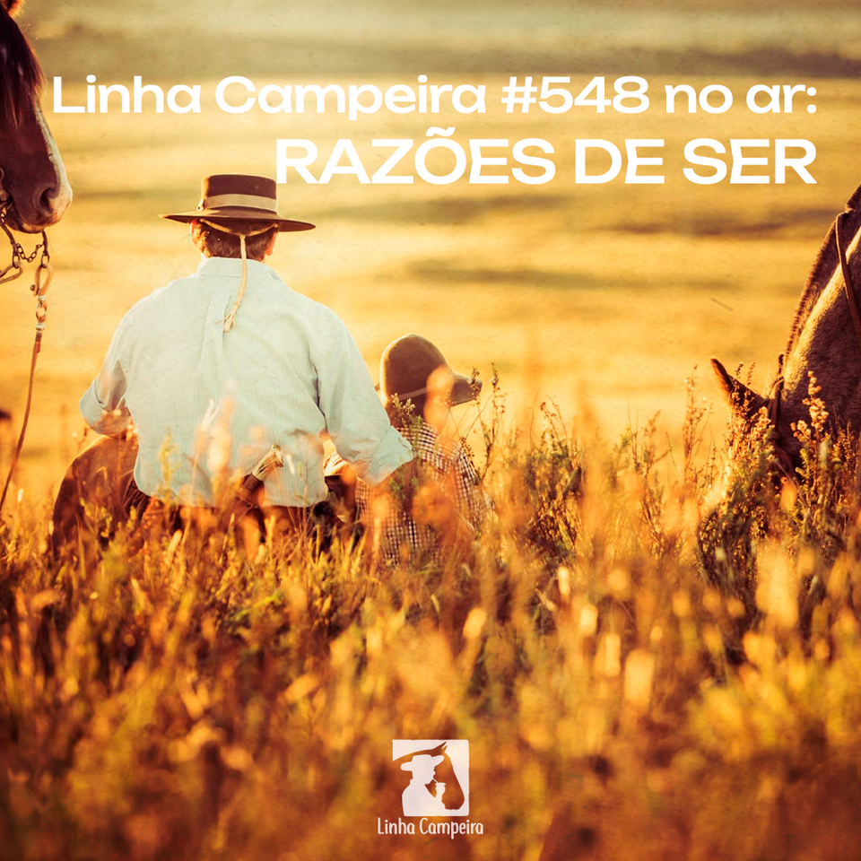 Episódio #548 - Razões de Ser