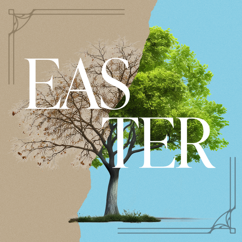 SPEAK | Part 14 | Then, When You Least Expect It | Easter
