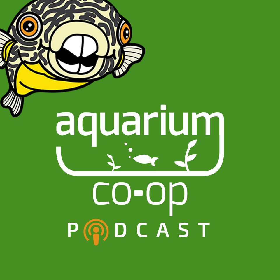 Gifting Memberships on Youtube! - Come get a free Membership to Aquarium Co-Op