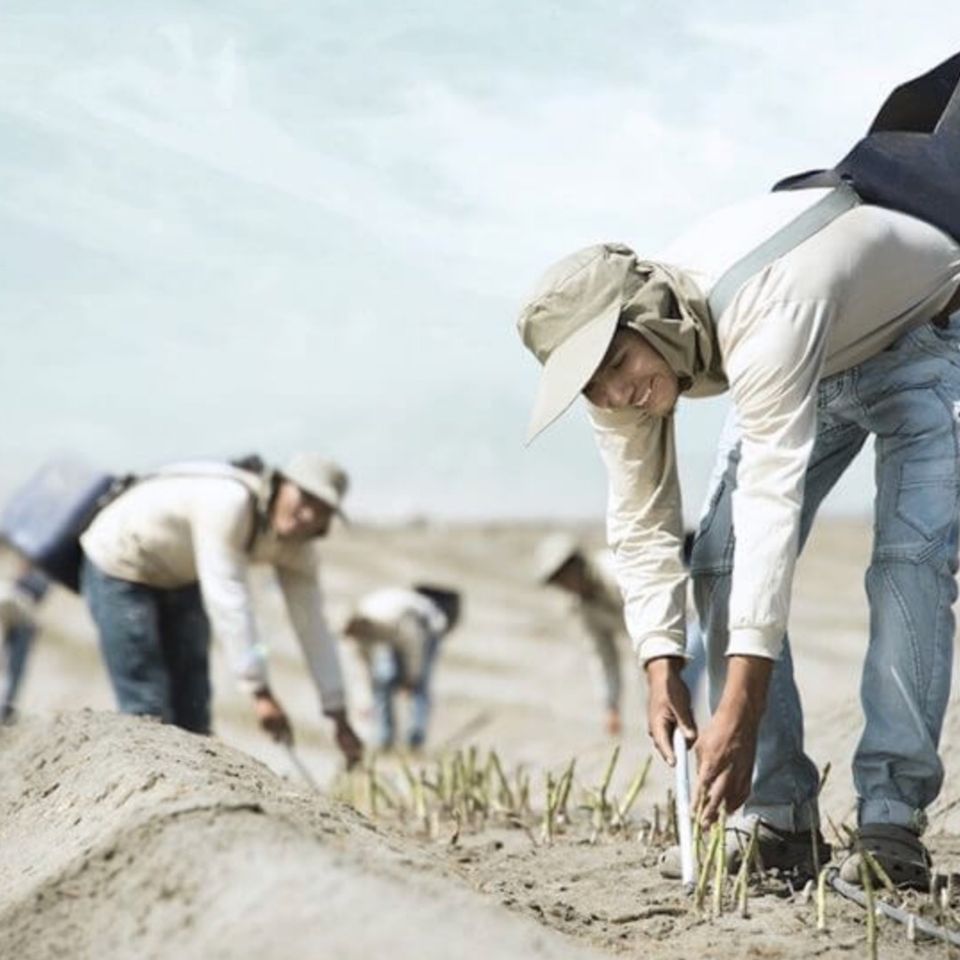 Growing Food, Equality, And Opportunity In Peru