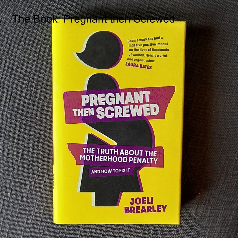 The Book: Pregnant then Screwed