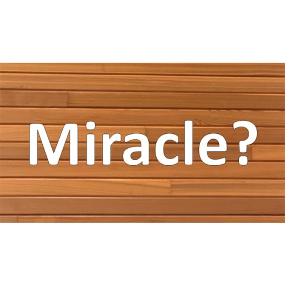 Message 04/12/2026 - Miracles Today - Text: John 20:19-31