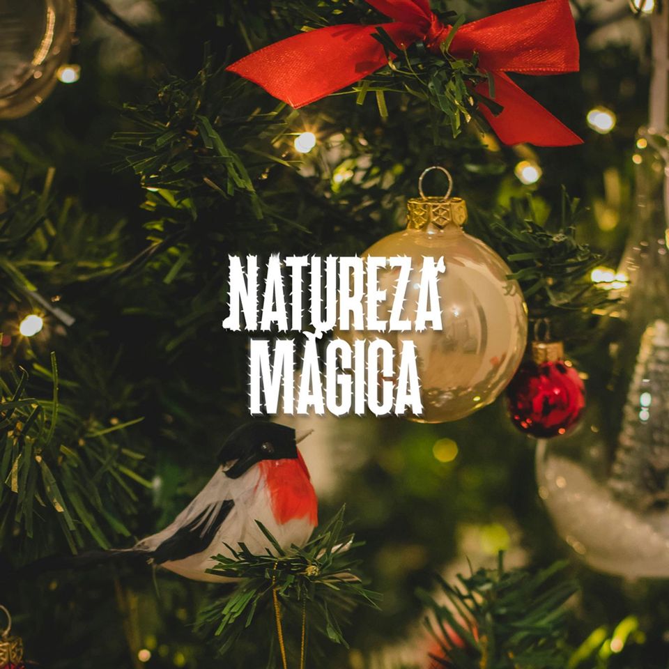 Som de Pássaros com Música Natalina (Áudio 3D) • 1 hora