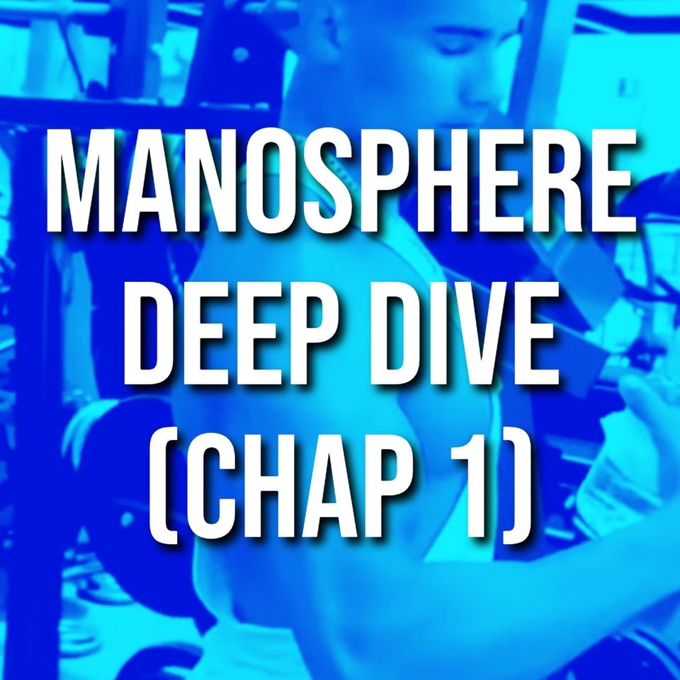 Manosphere Deep Dive (Chap 1)