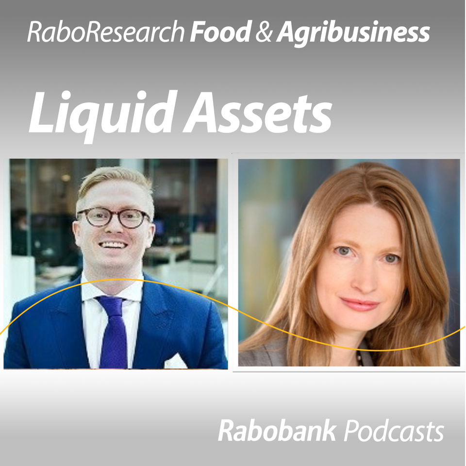 The 2026 economic outlook