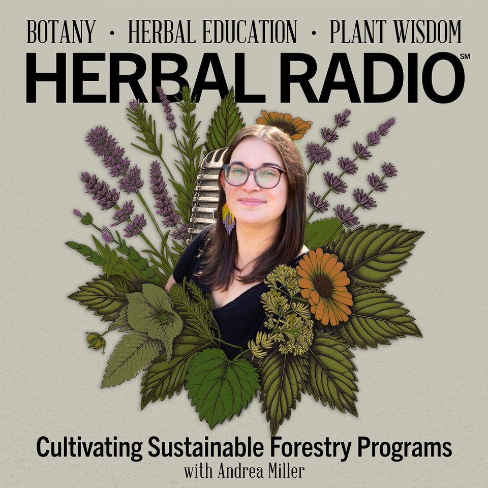 Cultivating Sustainable Forestry Programs | Featuring Andrea Miller