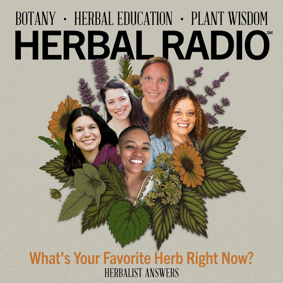 Herbalist Answers: What's Your Favorite Herb Right Now?