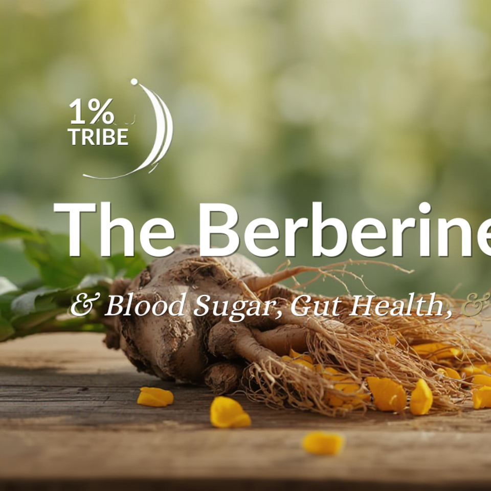 1% Tribe - The Berberine Blueprint: Blood Sugar, Gut Health & Fat Loss Unlocked
