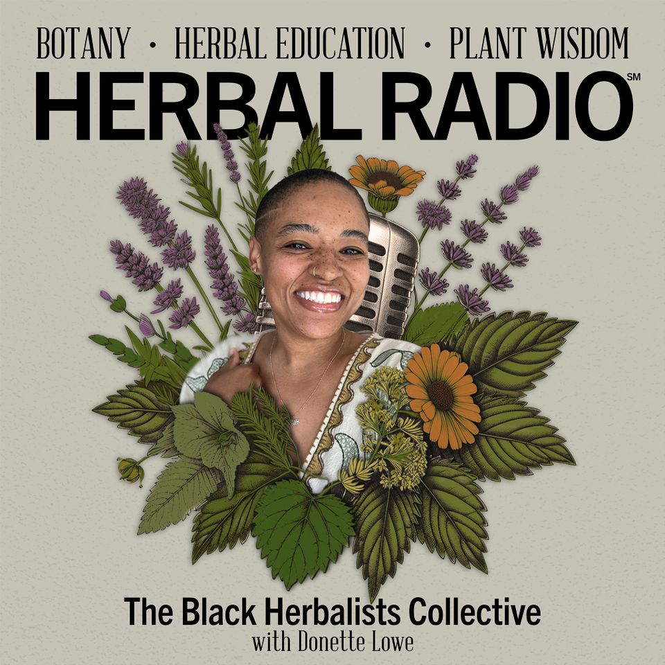Black Herbalists Collective | Featuring Donette Lowe