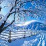 Jardim de Inverno