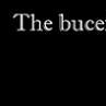 the bucefalos
